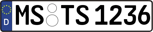MS-TS1236