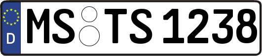 MS-TS1238