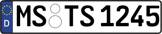 MS-TS1245