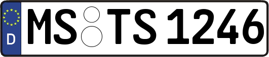 MS-TS1246