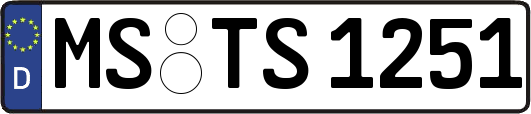 MS-TS1251