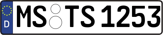MS-TS1253