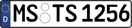 MS-TS1256