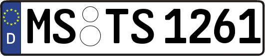 MS-TS1261