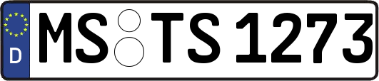 MS-TS1273
