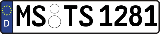 MS-TS1281