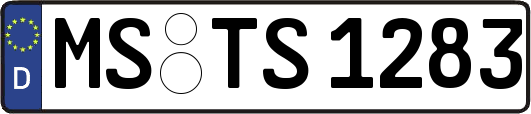 MS-TS1283