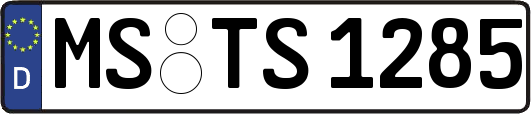 MS-TS1285