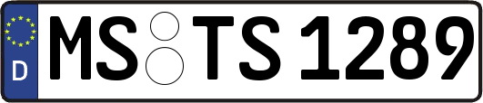 MS-TS1289