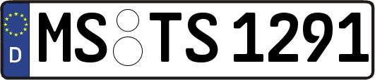 MS-TS1291