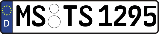 MS-TS1295