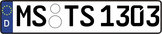 MS-TS1303