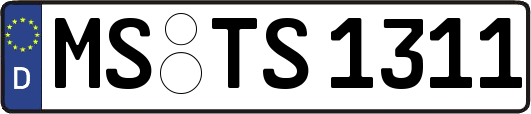MS-TS1311