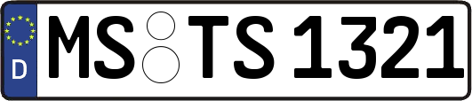 MS-TS1321