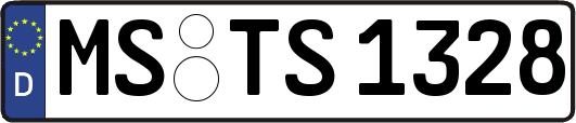 MS-TS1328