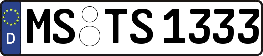 MS-TS1333