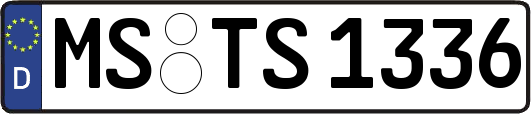 MS-TS1336