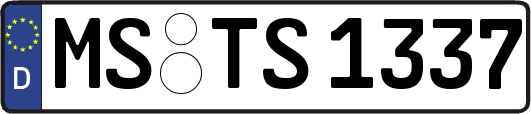 MS-TS1337