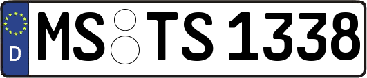 MS-TS1338