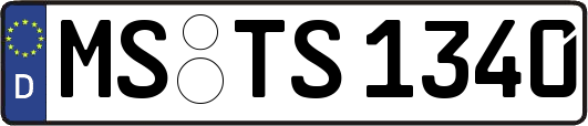MS-TS1340