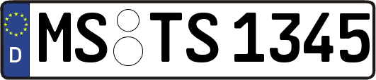 MS-TS1345