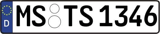 MS-TS1346