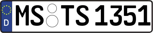 MS-TS1351