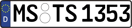 MS-TS1353