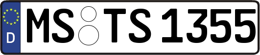 MS-TS1355