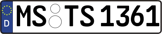 MS-TS1361
