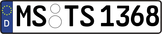 MS-TS1368
