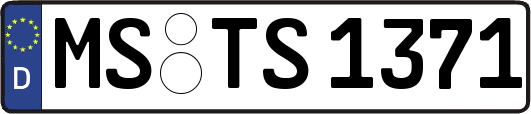 MS-TS1371