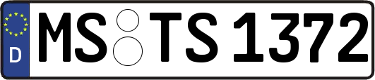 MS-TS1372