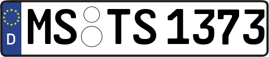 MS-TS1373