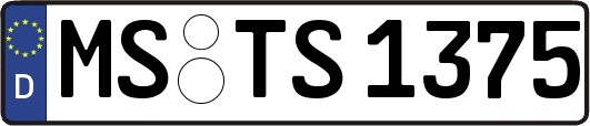 MS-TS1375