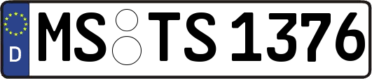 MS-TS1376