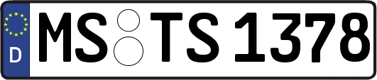 MS-TS1378