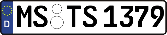 MS-TS1379