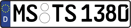 MS-TS1380