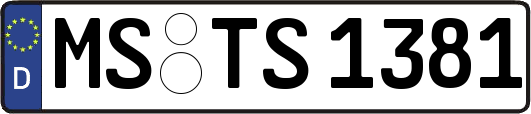 MS-TS1381