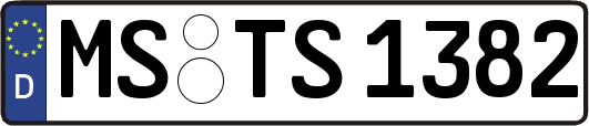 MS-TS1382