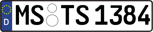 MS-TS1384