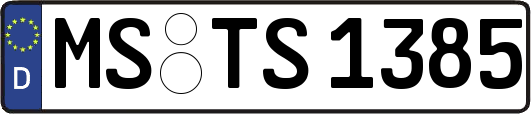 MS-TS1385