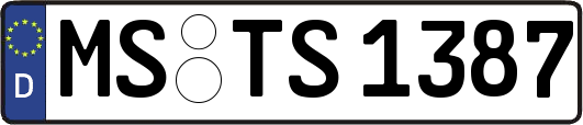 MS-TS1387