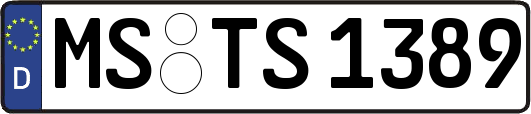 MS-TS1389