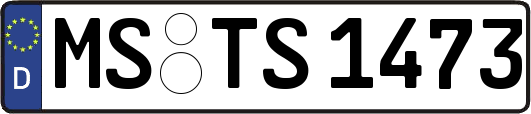 MS-TS1473