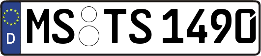 MS-TS1490