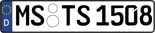 MS-TS1508
