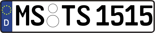 MS-TS1515