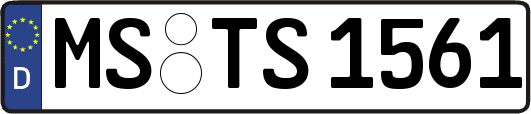 MS-TS1561